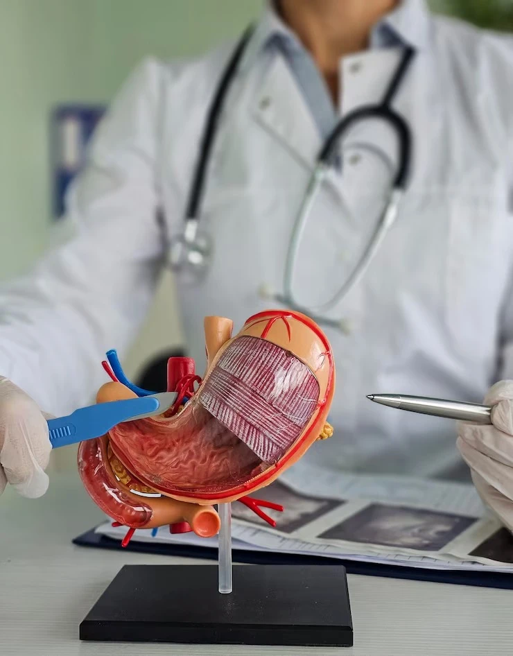 Pancreatectomia parcial em Brasília